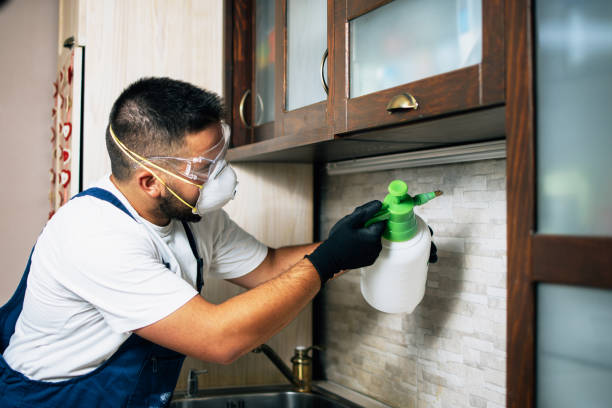 Best Pest Removal Services  in Palestine, TX