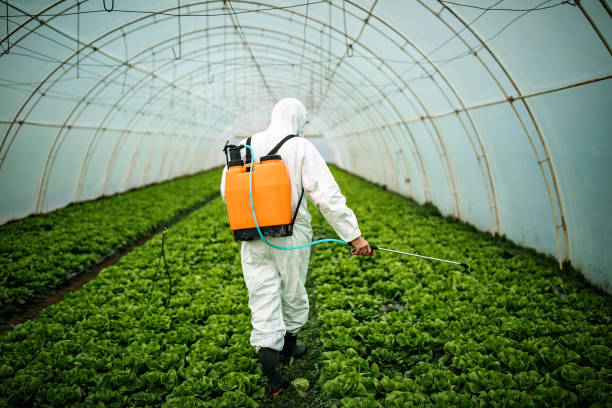 Best Affordable Pest Control Services  in Palestine, TX