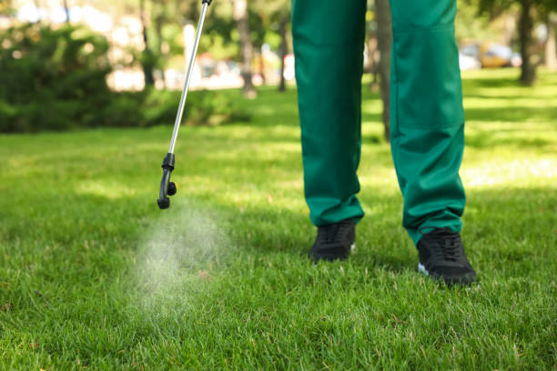 Best Exterminator Services  in Palestine, TX