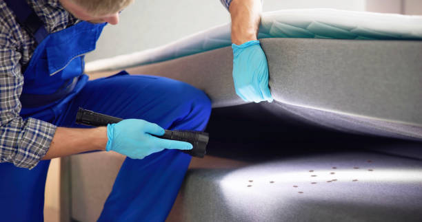 Best Pest Control for Homes  in Palestine, TX